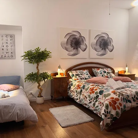 Cozy Near With Parking 아파트 코모